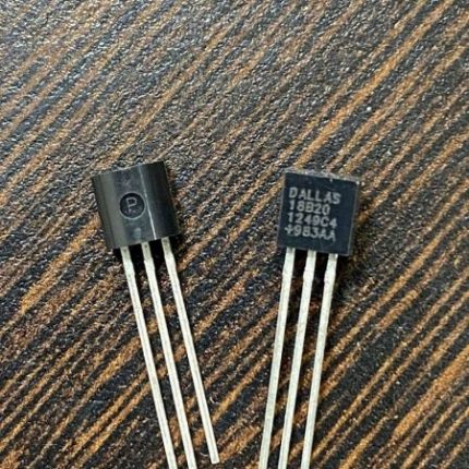 DS18B20